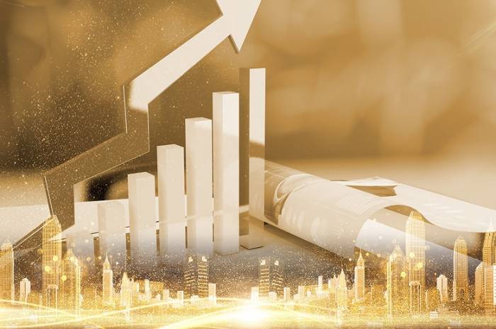 Maximizing Venture Capital's Unique Role in Capital Markets